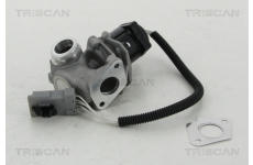 AGR-Ventil TRISCAN 8813 16008