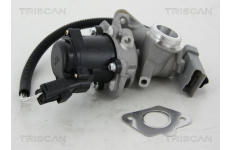 AGR-Ventil TRISCAN 8813 16034