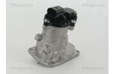 AGR-Ventil TRISCAN 8813 16151