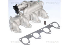 AGR-Ventil TRISCAN 8813 16160