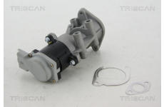 AGR - Ventil TRISCAN 8813 17008