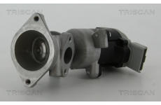 AGR-Ventil TRISCAN 8813 17020