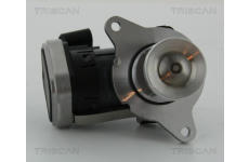 AGR-Ventil TRISCAN 8813 23006