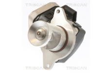 AGR-Ventil TRISCAN 8813 23021