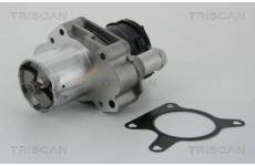 AGR-Ventil TRISCAN 8813 23031