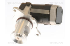 AGR-Ventil TRISCAN 8813 23036
