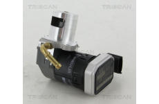 AGR-Ventil TRISCAN 8813 24046