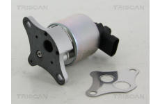 AGR-Ventil TRISCAN 8813 24056