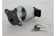 AGR-Ventil TRISCAN 8813 24063