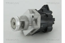 AGR-Ventil TRISCAN 8813 24083