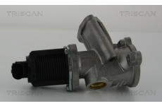 AGR-Ventil TRISCAN 8813 24204