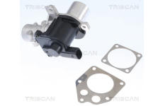 AGR-Ventil TRISCAN 8813 25036