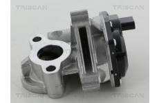 AGR-Ventil TRISCAN 8813 25041