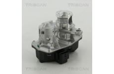 AGR-Ventil TRISCAN 8813 25042