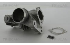 AGR-Ventil TRISCAN 8813 27001