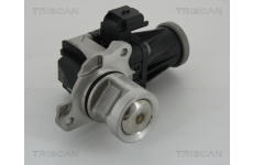 AGR-Ventil TRISCAN 8813 28005
