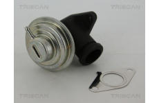 AGR-Ventil TRISCAN 8813 28042