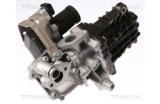 AGR-Ventil TRISCAN 8813 28046