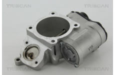 AGR-Ventil TRISCAN 8813 29028