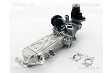 AGR-Ventil TRISCAN 8813 29102