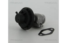 AGR-Ventil TRISCAN 8813 29307