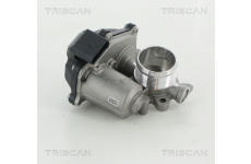 AGR-Ventil TRISCAN 8813 29316
