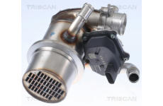 AGR-Ventil TRISCAN 8813 29345