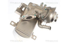 AGR-Ventil TRISCAN 8813 29347