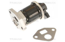 AGR-Ventil TRISCAN 8813 40002