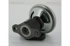 AGR-Ventil TRISCAN 8813 43005