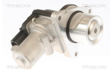 AGR-Ventil TRISCAN 8813 43010