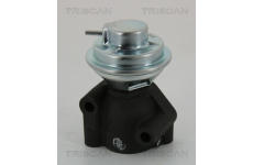 AGR-Ventil TRISCAN 8813 43040