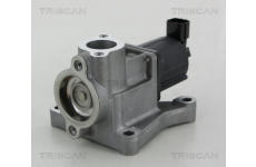 AGR-Ventil TRISCAN 8813 50015