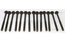 Sada šroubů hlavy válce TRISCAN 98-1014