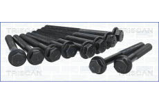 Sada šroubů hlavy válce TRISCAN 98-2501