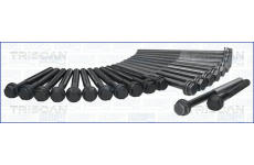 Sada šroubů hlavy válce TRISCAN 98-2503