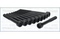 Sada šroubů hlavy válce TRISCAN 98-4003