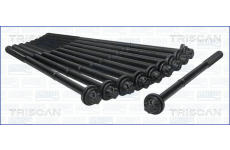 Sada šroubů hlavy válce TRISCAN 98-5017