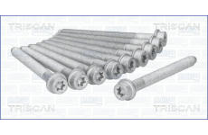 Sada šroubů hlavy válce TRISCAN 98-5503
