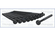 Sada šroubů hlavy válce TRISCAN 98-5522