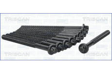 Sada šroubů hlavy válce TRISCAN 98-5524