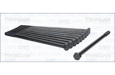 Sada šroubů hlavy válce TRISCAN 98-6007