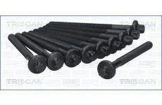 Sada šroubů hlavy válce TRISCAN 98-6008