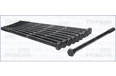 Sada šroubů hlavy válce TRISCAN 98-6009