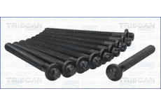 Sada šroubů hlavy válce TRISCAN 98-6014