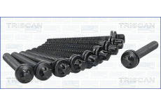 Sada šroubů hlavy válce TRISCAN 98-6500