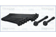 Sada šroubů hlavy válce TRISCAN 98-7505