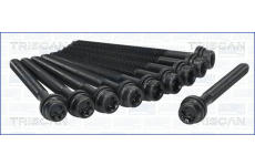 Sada šroubů hlavy válce TRISCAN 98-8506