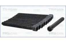 Sada šroubů hlavy válce TRISCAN 98-8517