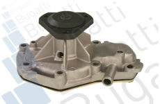Vodní čerpadlo, chlazení motoru BUGATTI PA7702